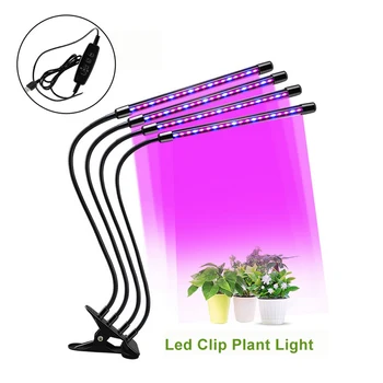 LED Cresce a Luz USB Fito Espectro Completo da Lâmpada Tenda Kit Completo Phytolamp para as Plantas Mudas de Flores Interior Crescer Caixa